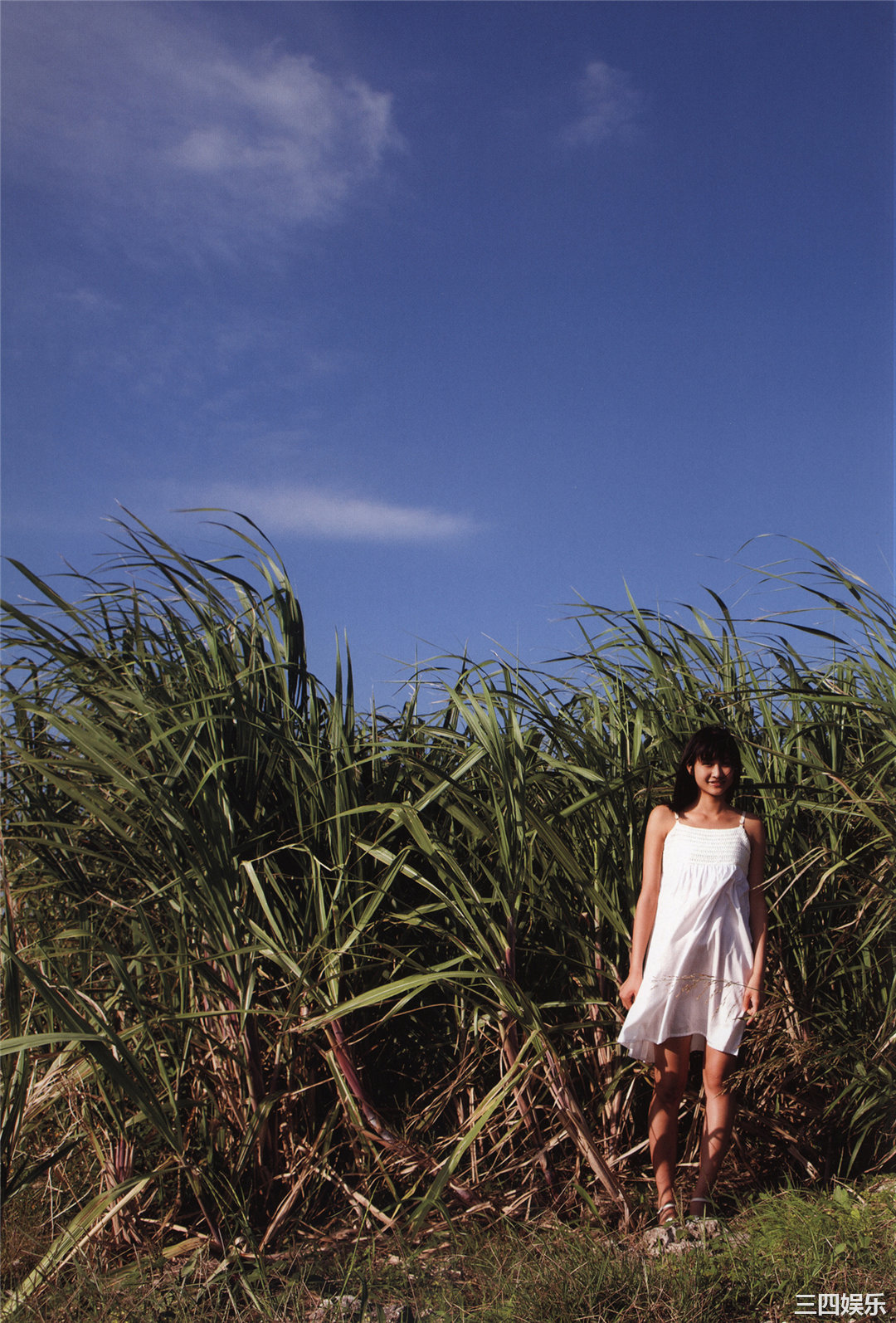 和田彩花写真集《彩 aya》高清全本