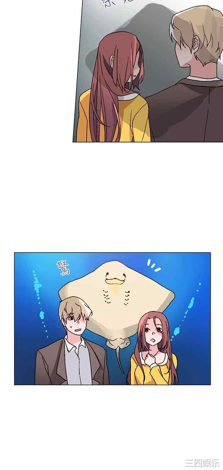 灰姑娘的哥哥们