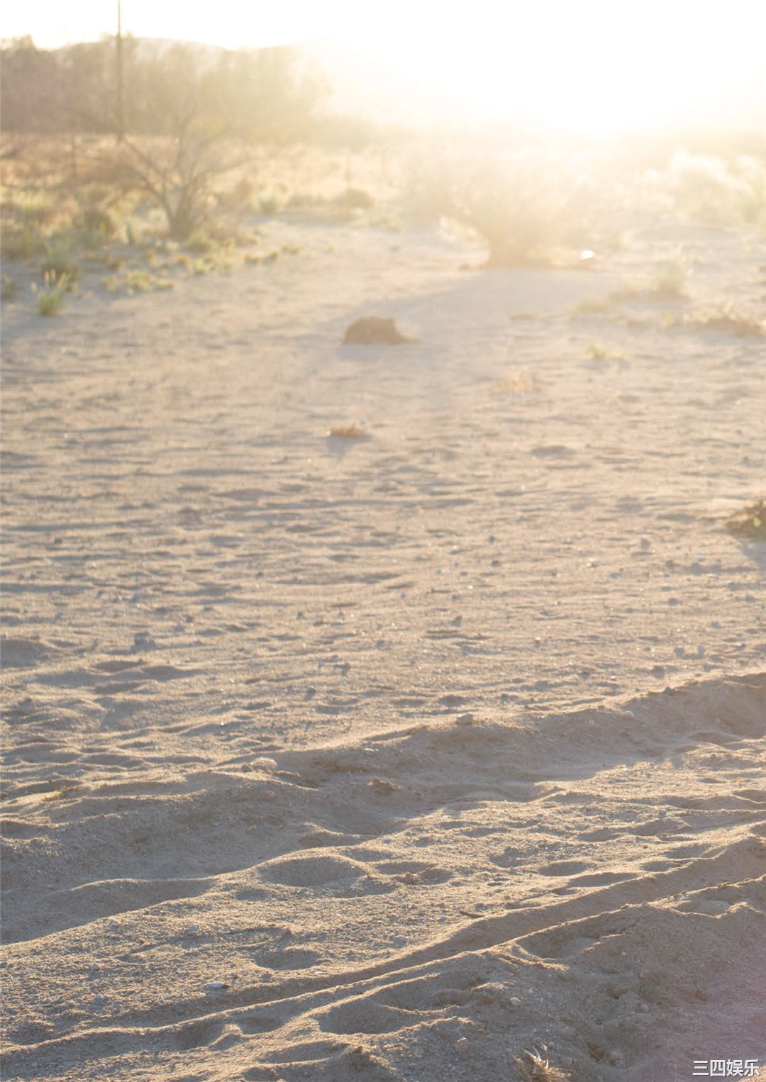 永尾玛利亚写真集《JOSHUA》高清全本