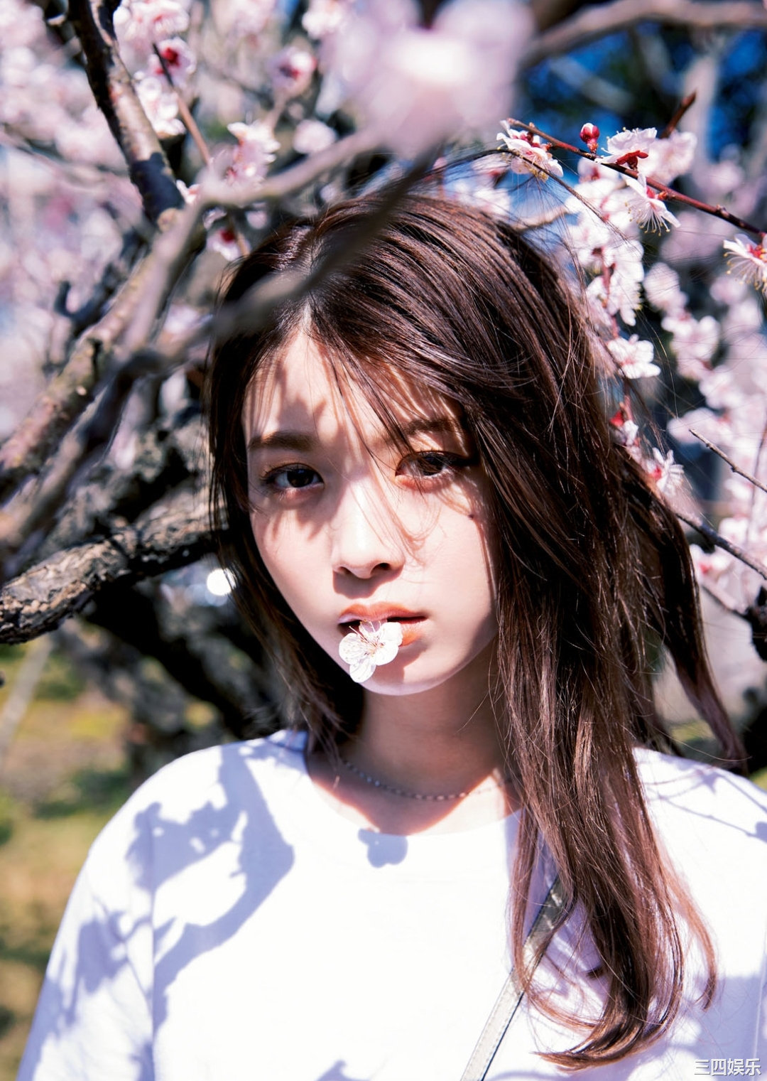 马场富美加写真集《ふみかのまんなか》高清全本