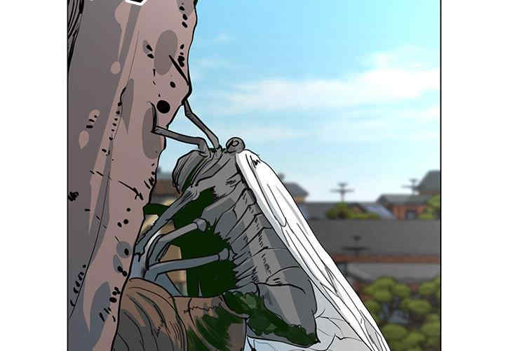 我家的女人们/儿子的乐园