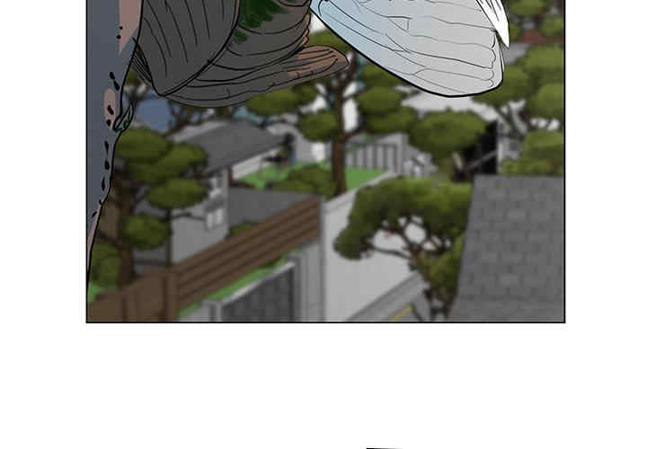 我家的女人们/儿子的乐园