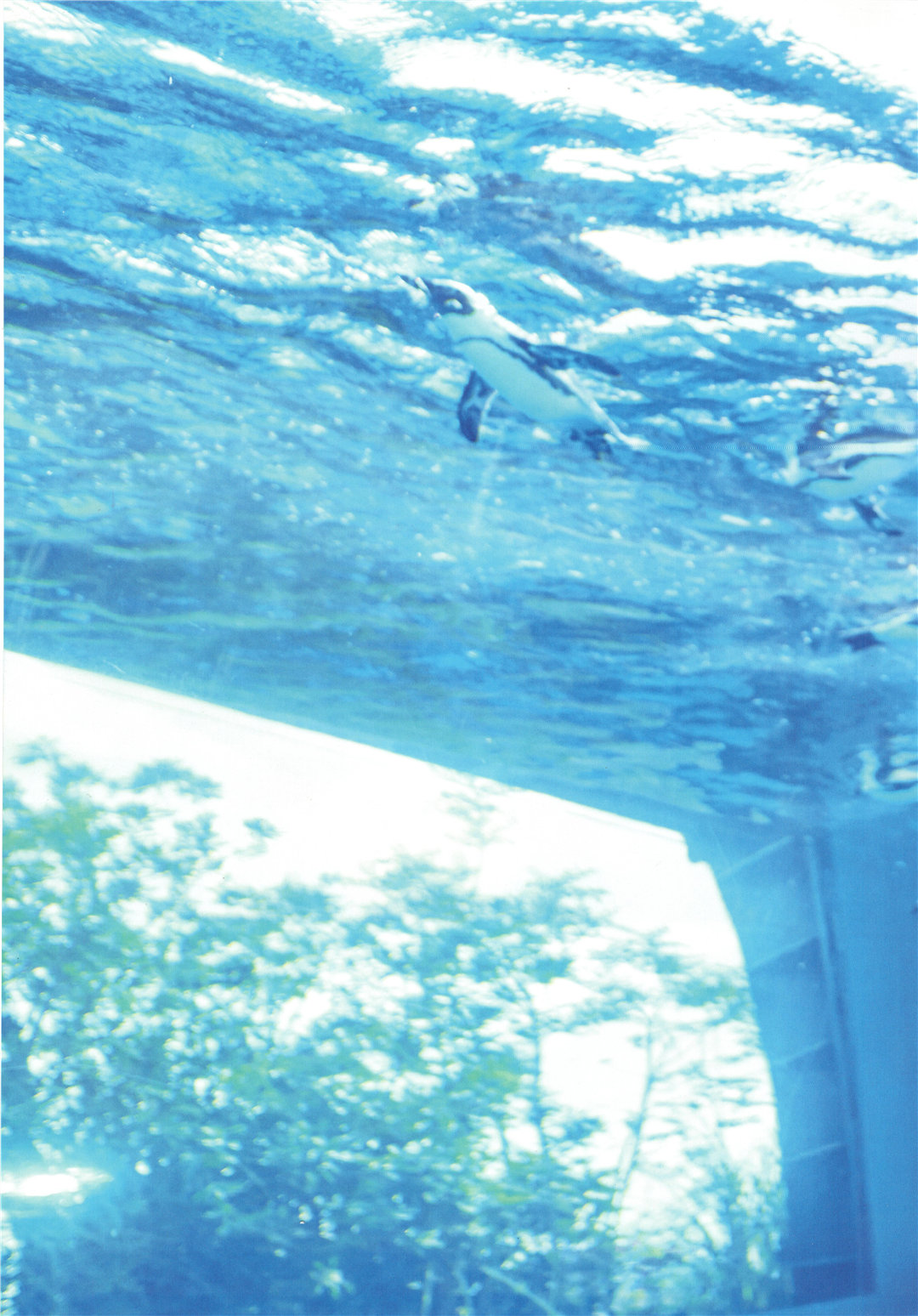 齐藤京子1ST写真集《とっておきの恋人》高清全本