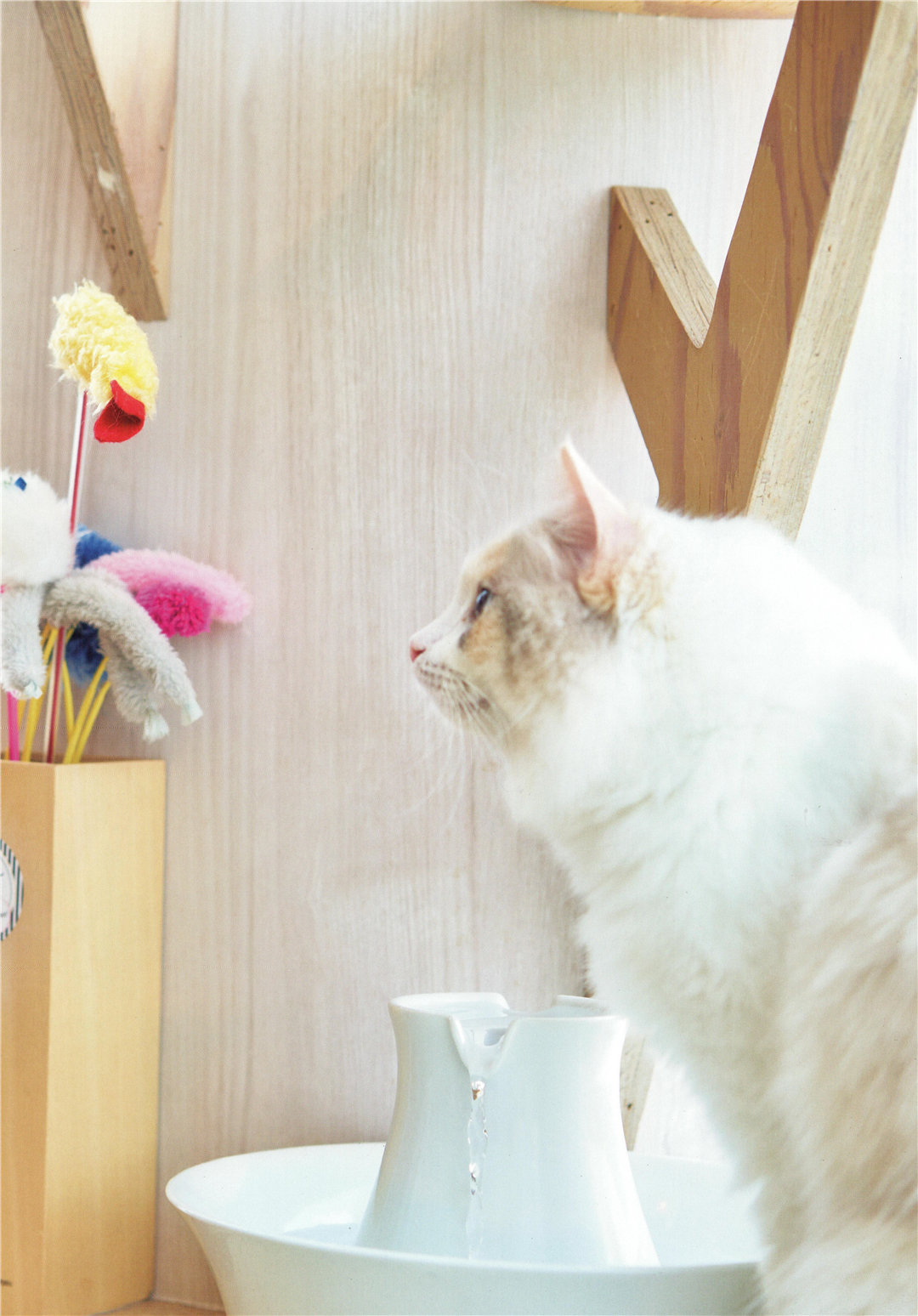 齐藤京子1ST写真集《とっておきの恋人》高清全本