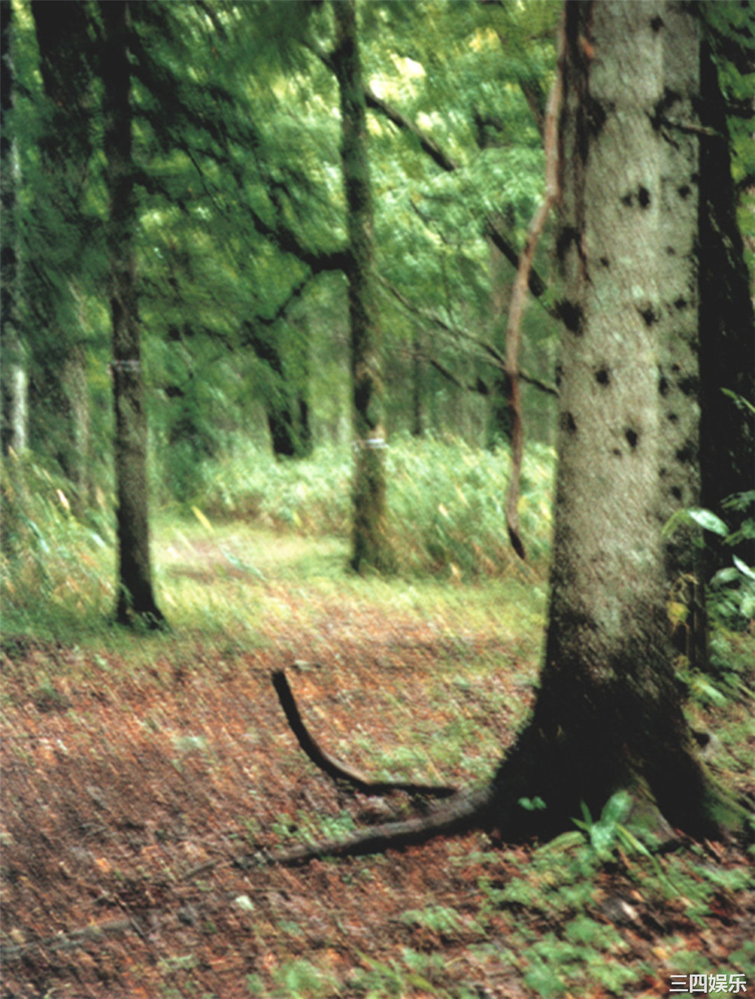 小仓优子写真集《優Q天国》高清全本