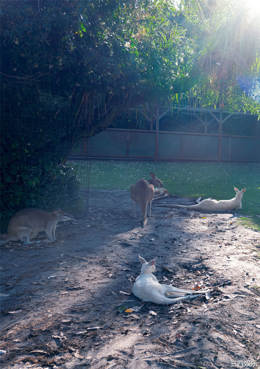 绫濑遥写真集《ハルカノイセカイ０４》高清全本