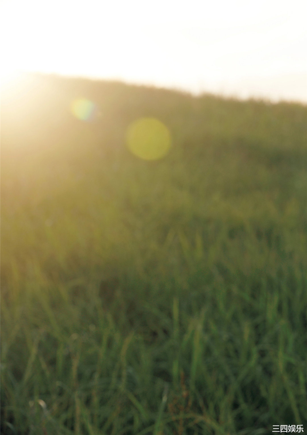 佐野雏子写真集《COLORS》高清全本