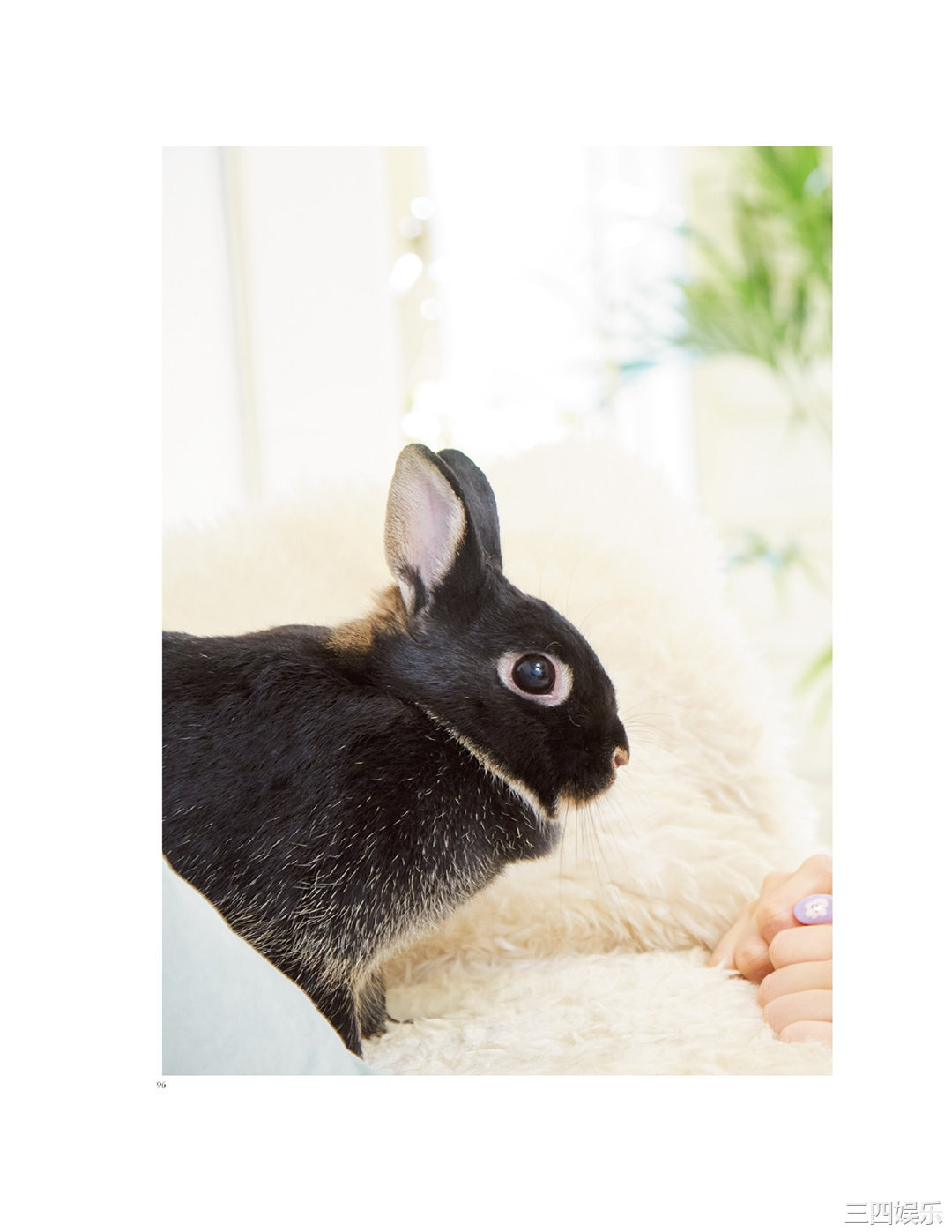 诹访奈奈香1st写真集《Suwa once upon a time》高清全本