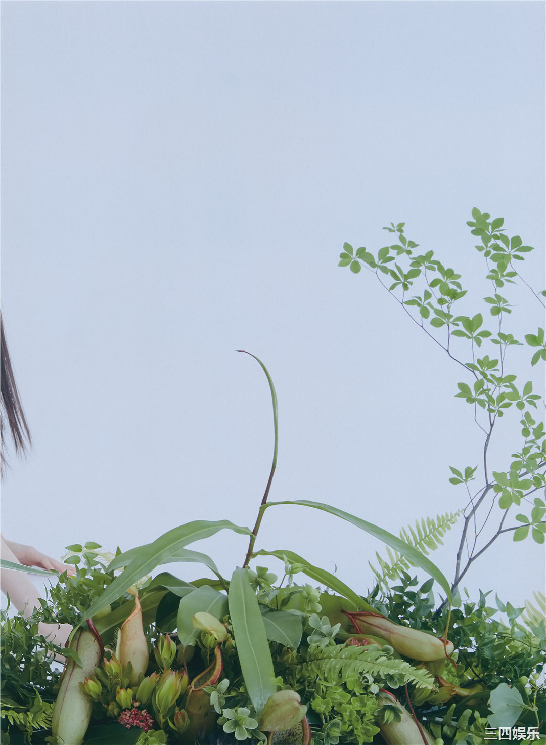 吉冈里帆写真集《里帆採取》高清全本