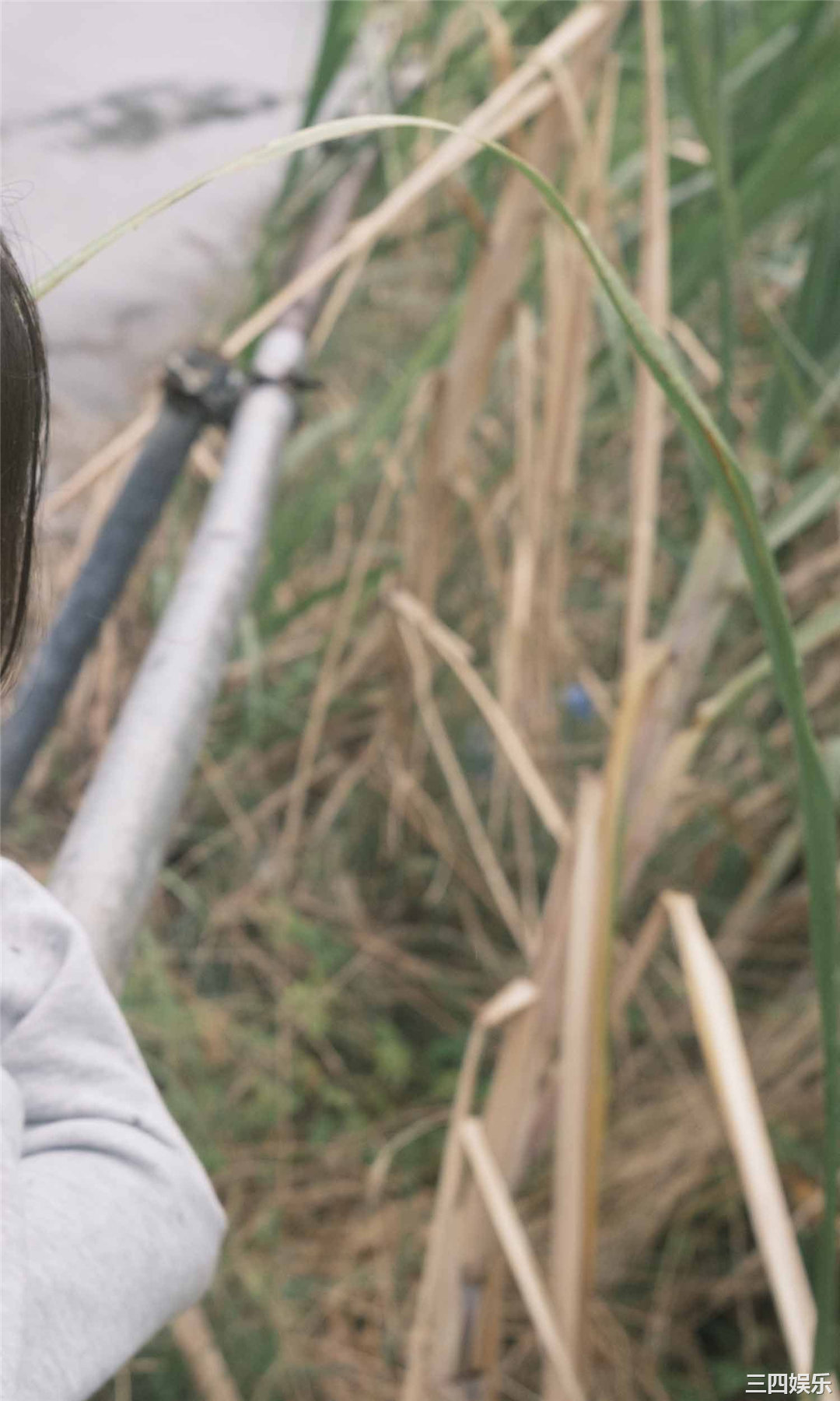 浅仓唯写真集《雨トキドキ唯。》高清全本