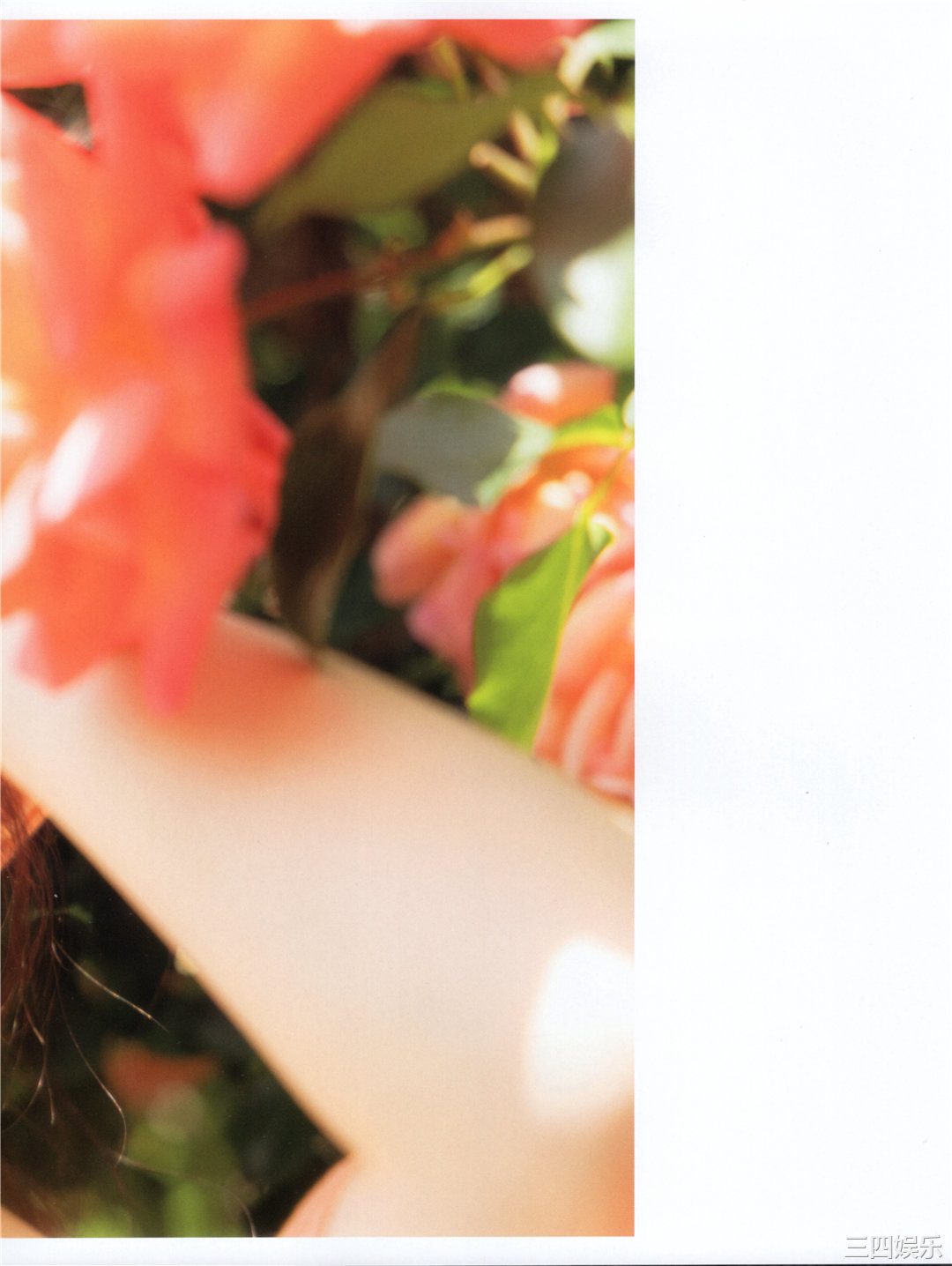 渡边米丽爱1ST写真集《消極的な華やかさ》高清全本