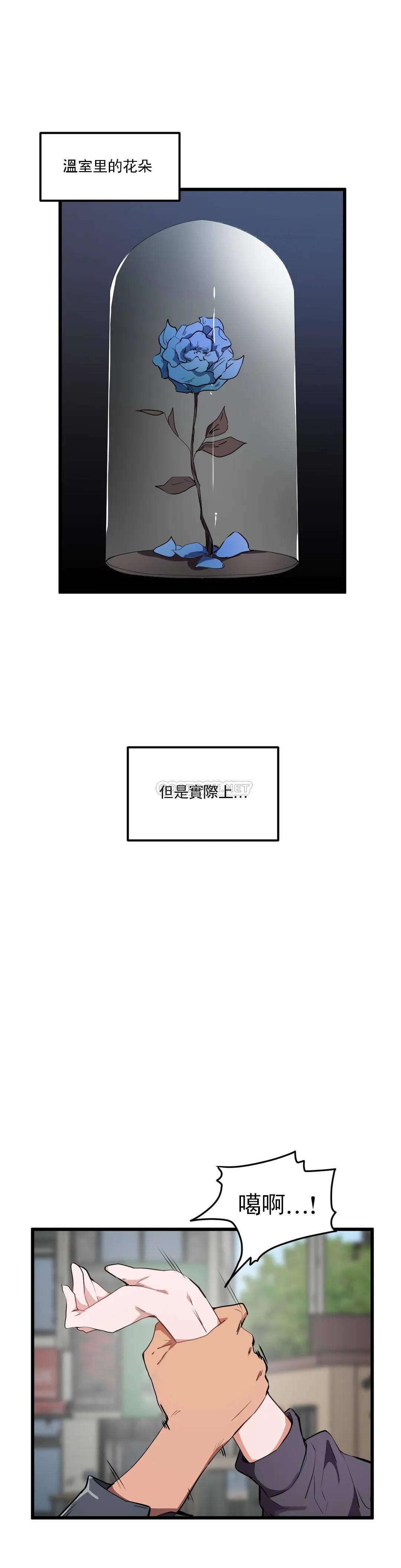 狩猎白富美/我要成为千金猎人