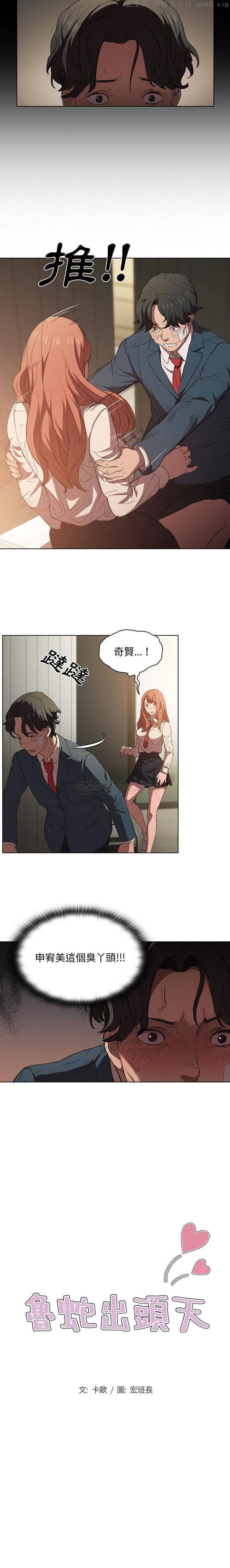 鲁蛇出头天/没种又怎样