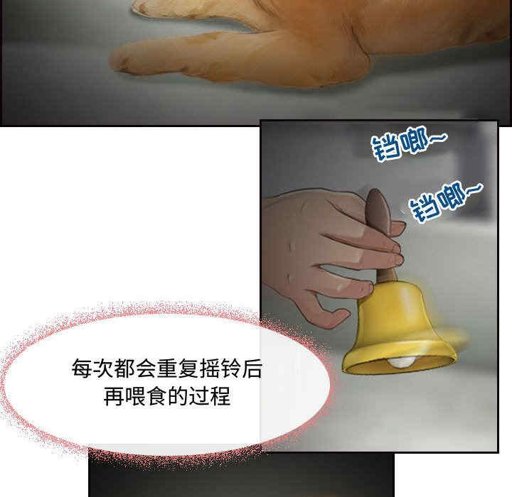 耳畔的神音/神之嗓音