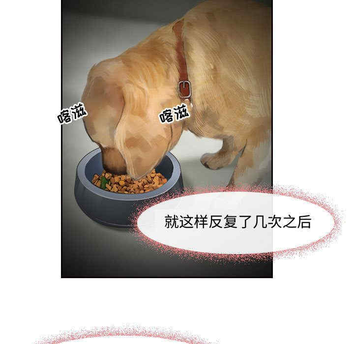 耳畔的神音/神之嗓音