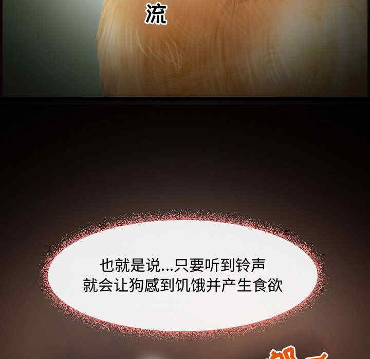 耳畔的神音/神之嗓音