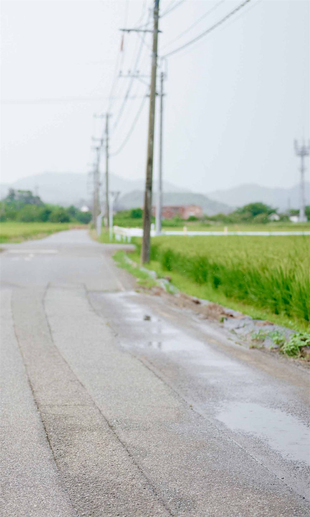 丰田露娜写真集《君がいた夏。》高清全本