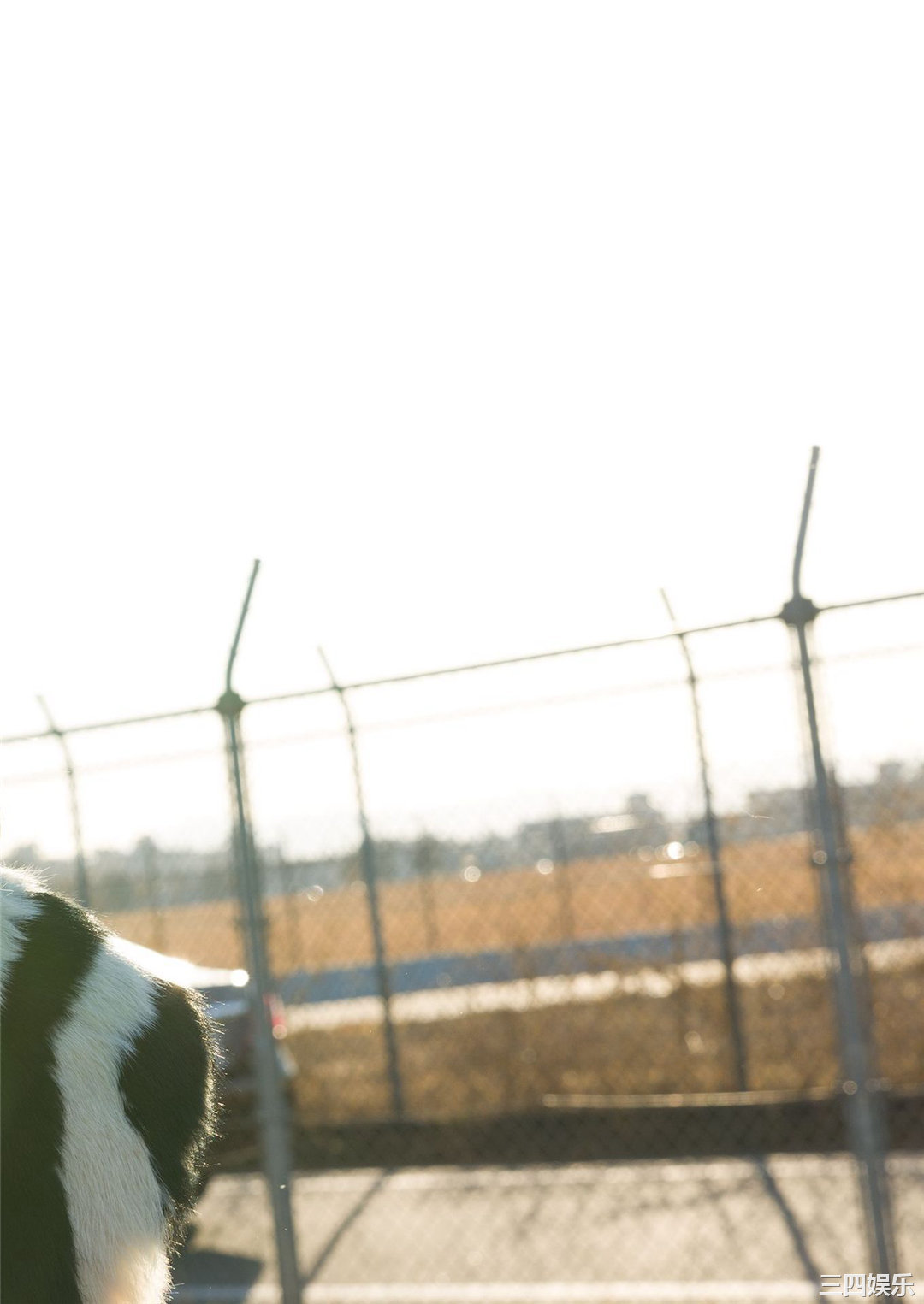 桥本萌花写真集《全部だよ》高清全本