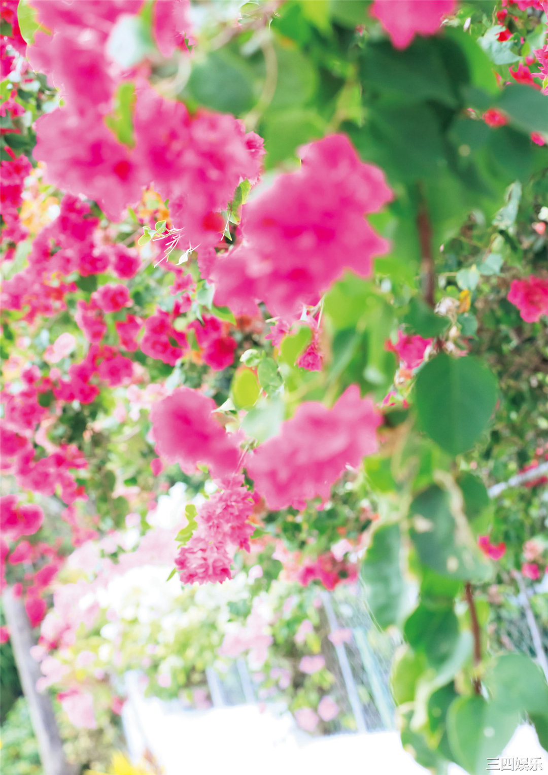 天羽希纯1ST写真集《A…？》高清全本