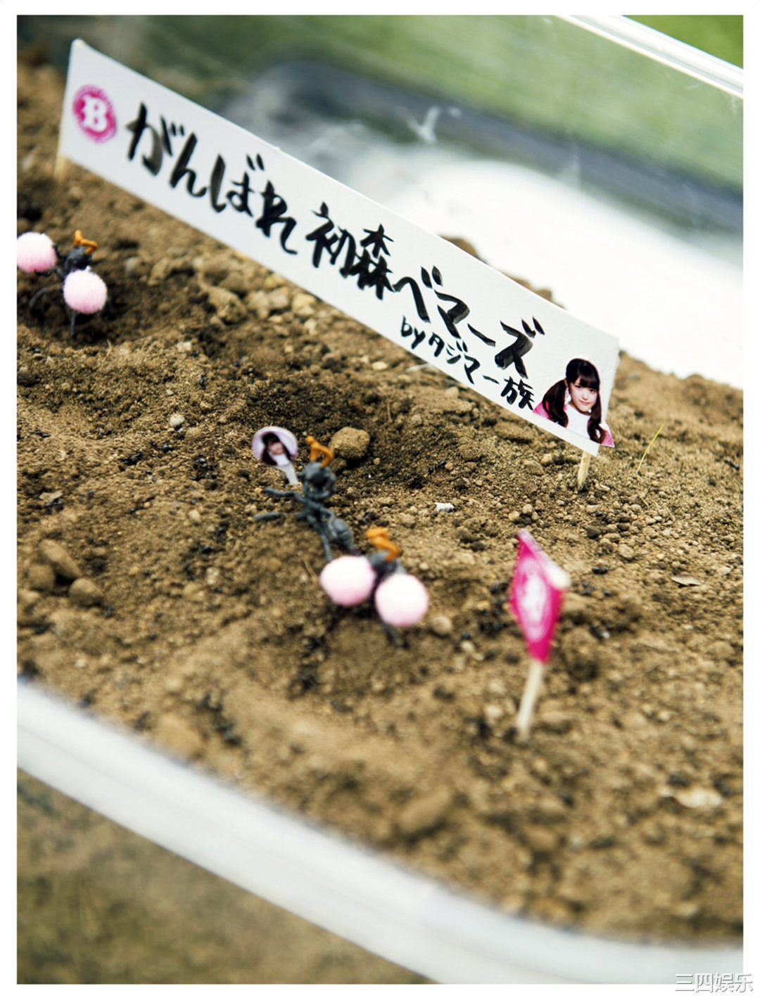 乃木坂46写真集《「初森ベマーズ」 電子写真集 Vol.2》高清全本