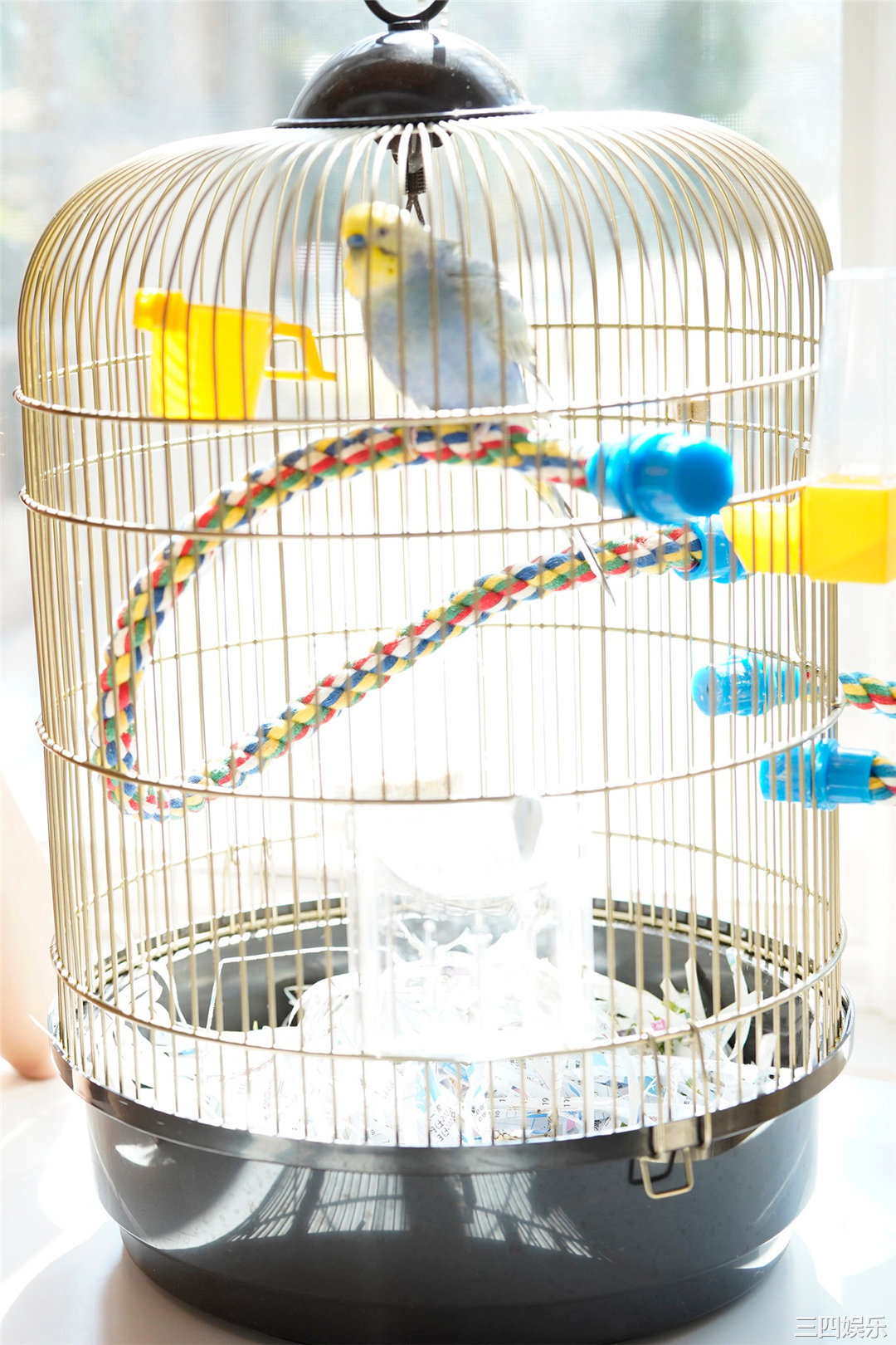 志田音音写真集《癒やしの純潔ビキニ》高清全本