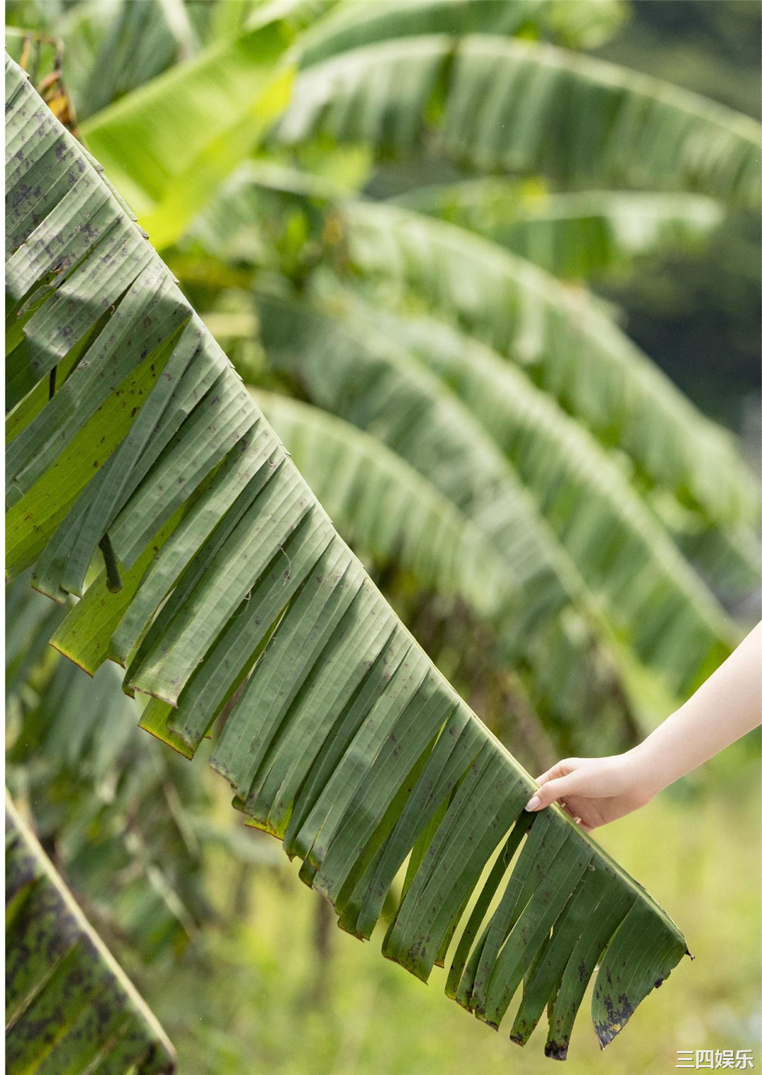 Lynn写真集《りん》高清全本