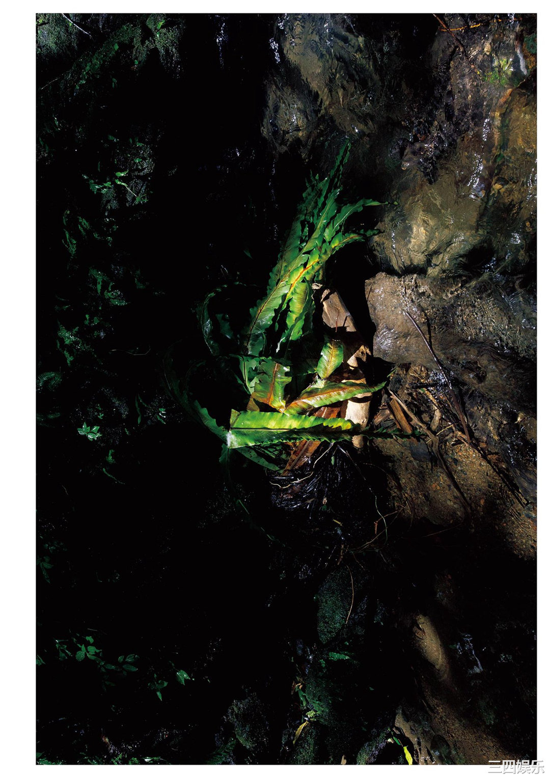 奥山和纱写真集《月刊 奥山かずさ・想》高清全本