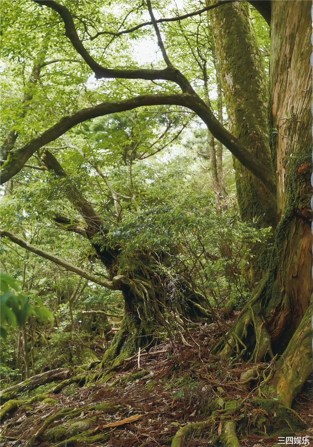 出口亚梨沙写真集《Entrance》高清全本