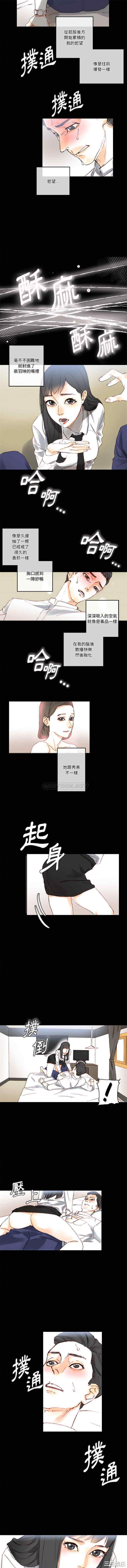 培养完美情人/完美情人养成记