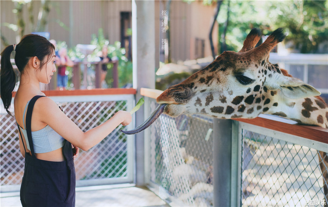 樱井玲香2nd写真集《视线》高清全本