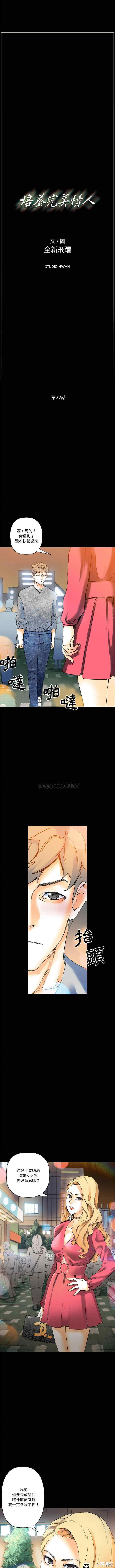 培养完美情人/完美情人养成记