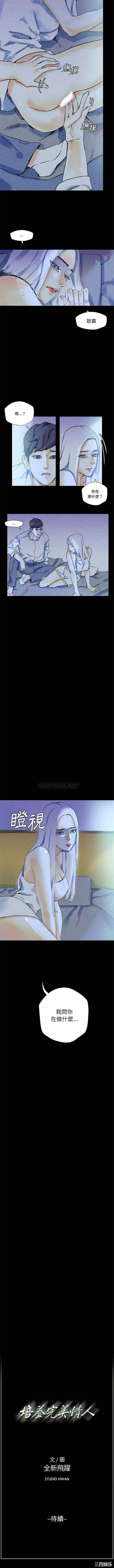 培养完美情人/完美情人养成记