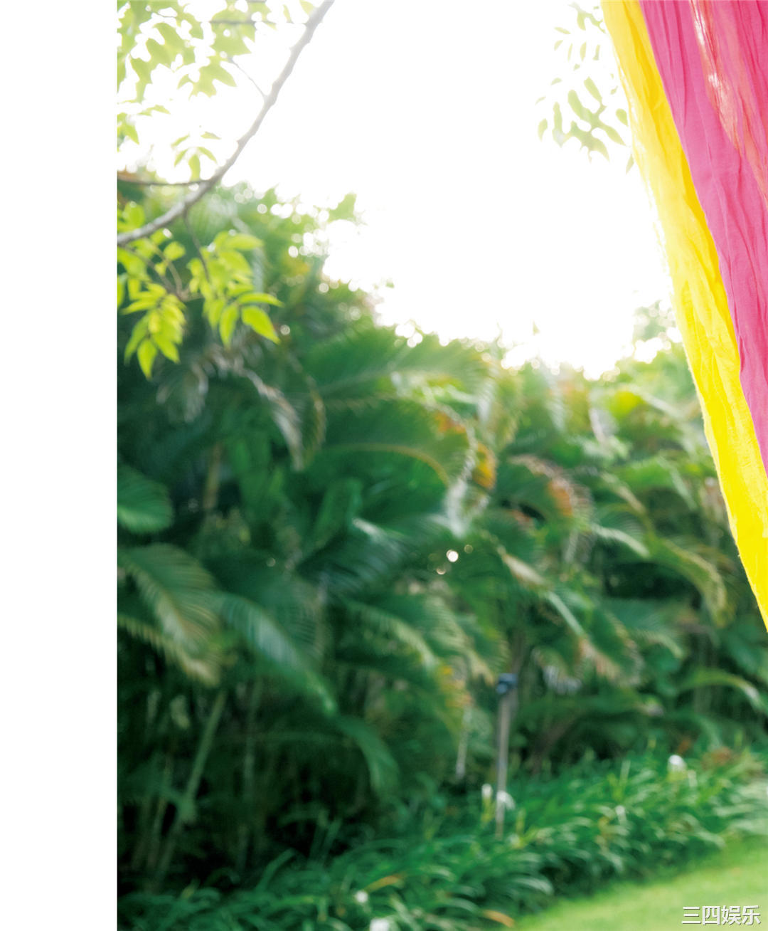 佐佐木希写真集《ささきき》高清全本