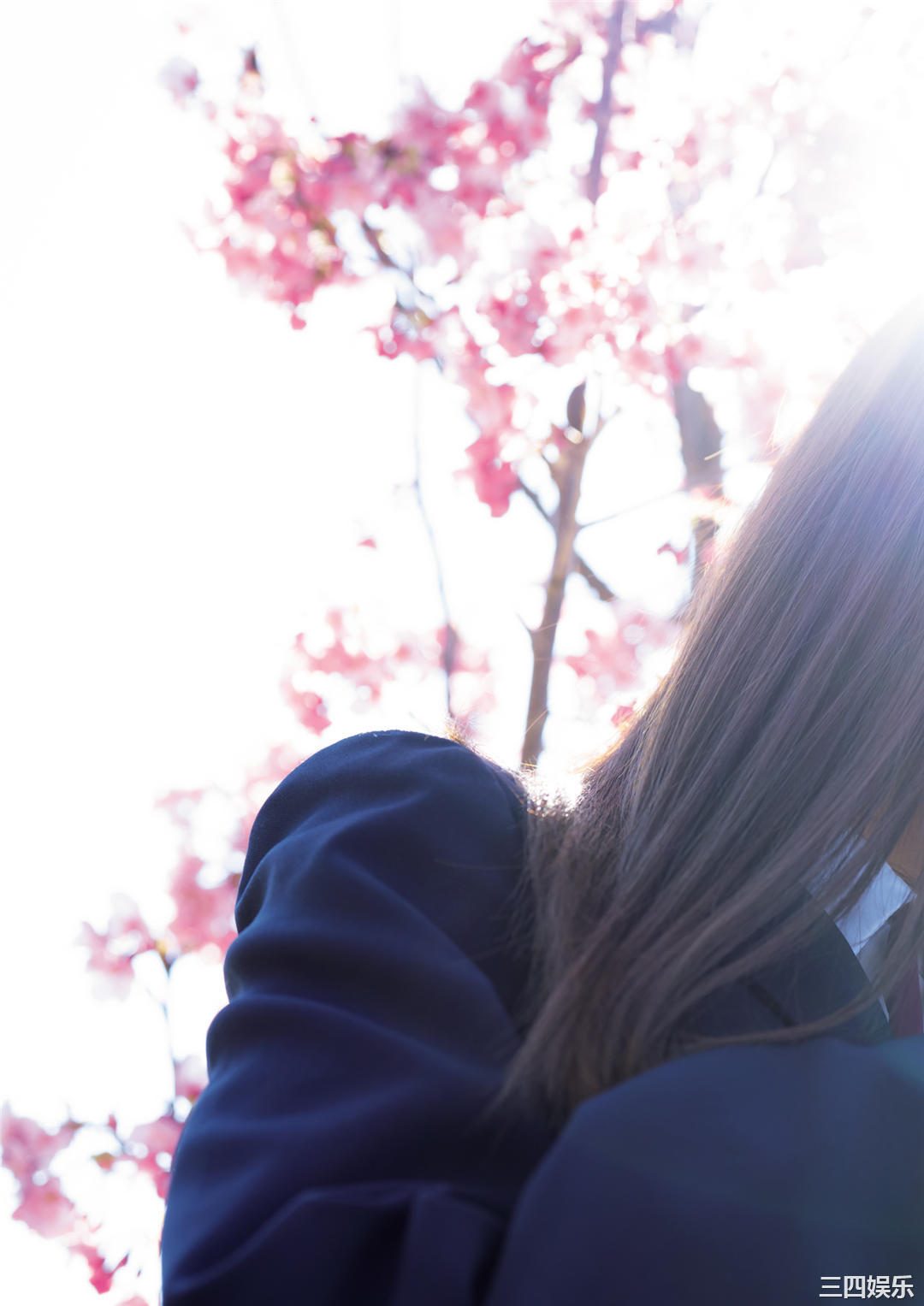 花咲れあ1ST写真集《はなびら》高清全本