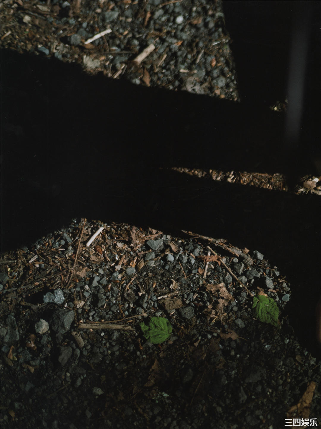 欅坂46写真集《21人の未完成》高清全本