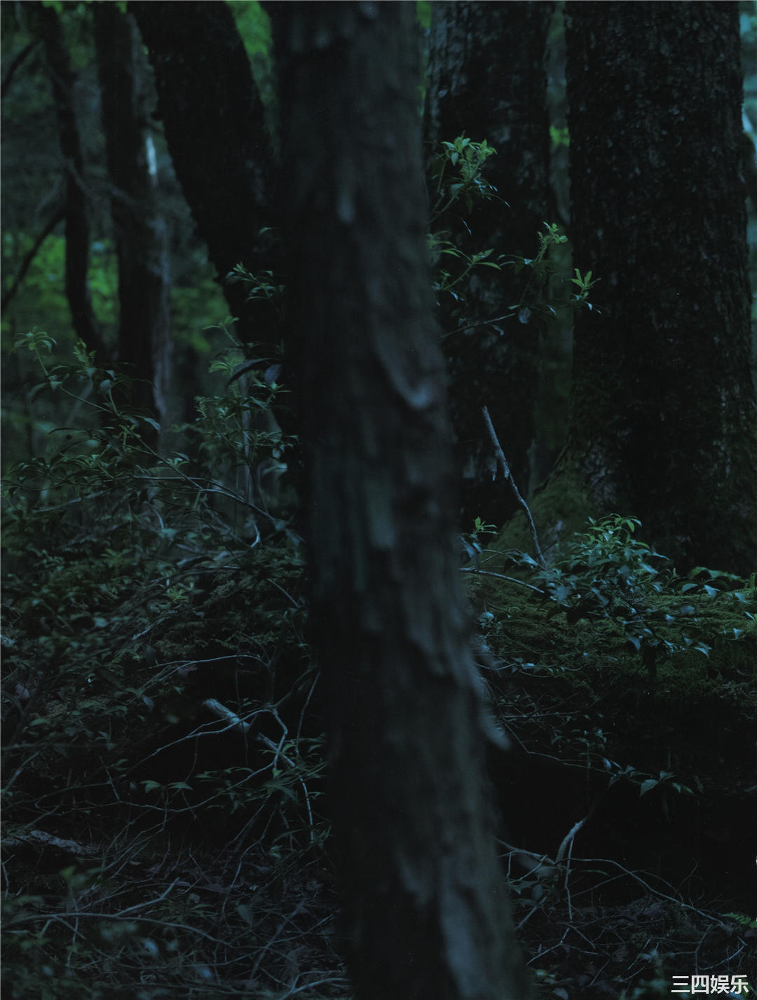 欅坂46写真集《21人の未完成》高清全本