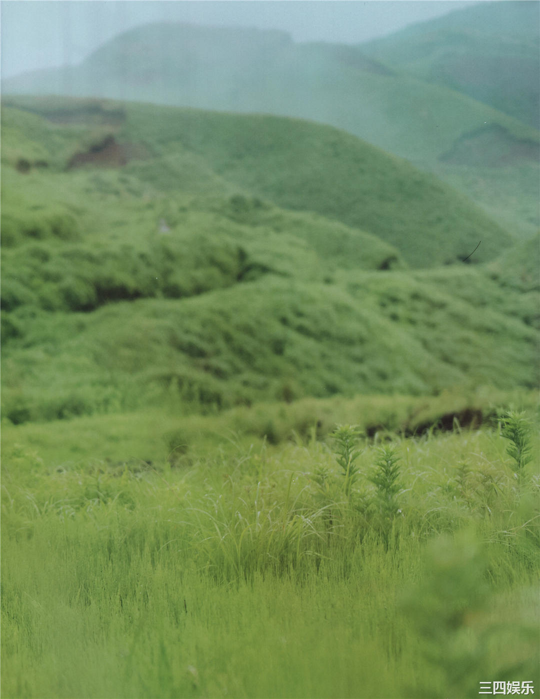 欅坂46写真集《21人の未完成》高清全本