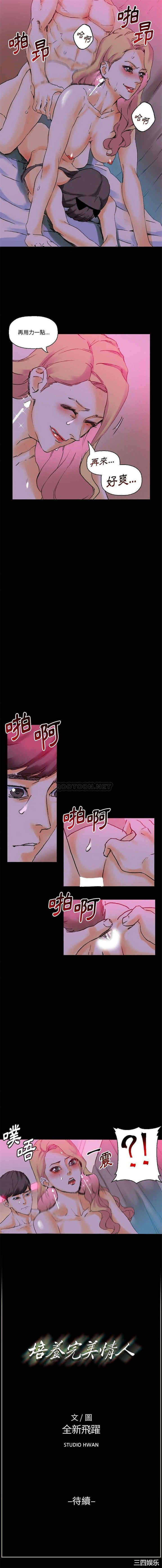 培养完美情人/完美情人养成记