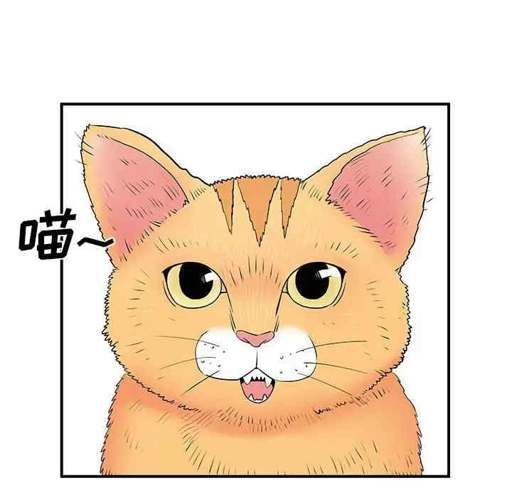 离婚过的她/离过婚的她