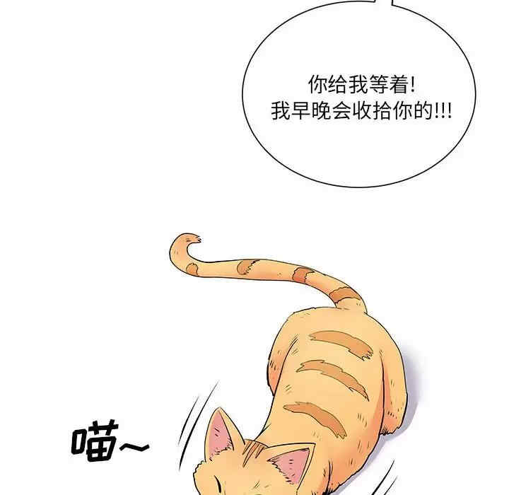 离婚过的她/离过婚的她