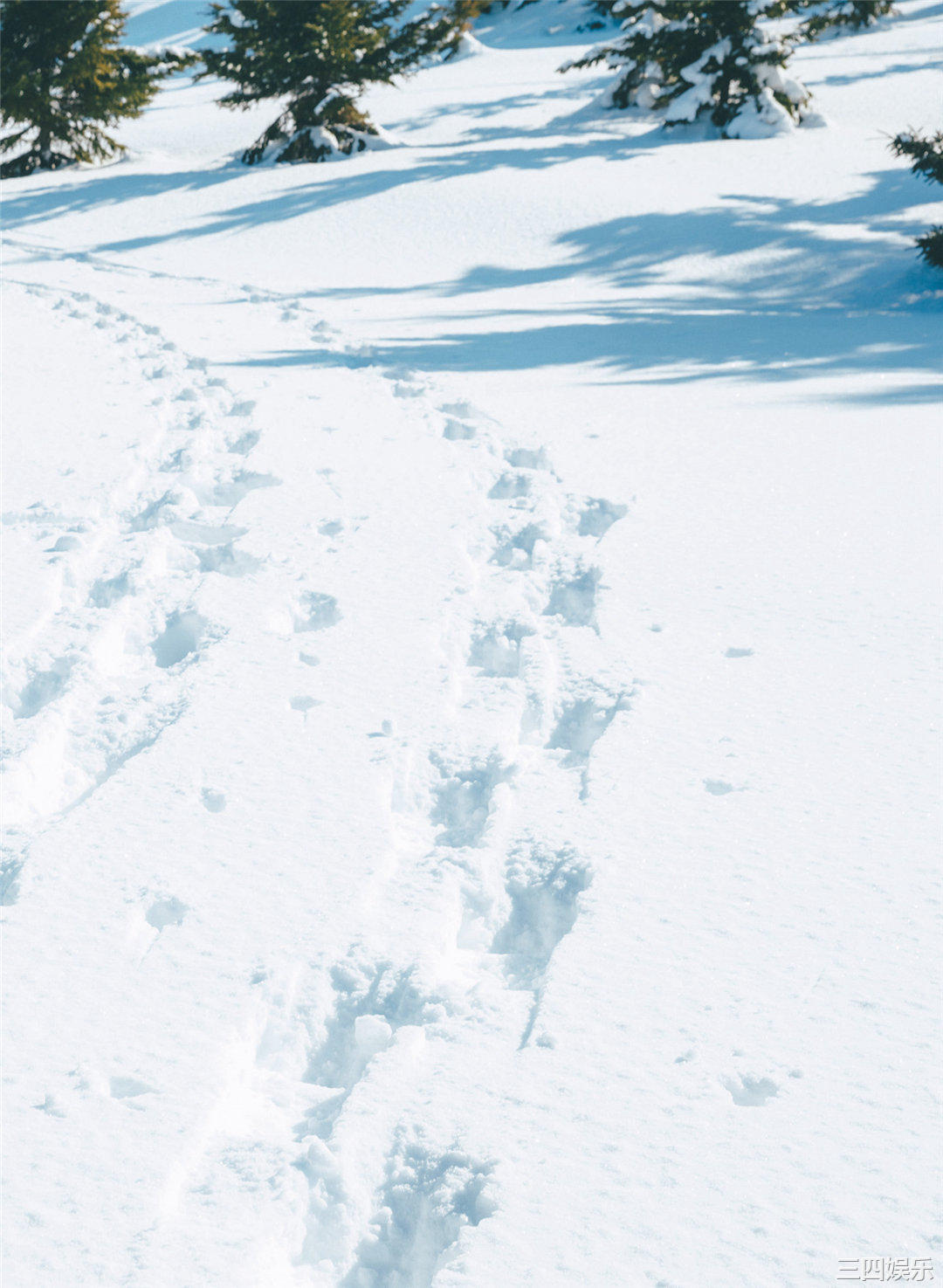 松下玲绪菜写真集《in the seasons》高清全本