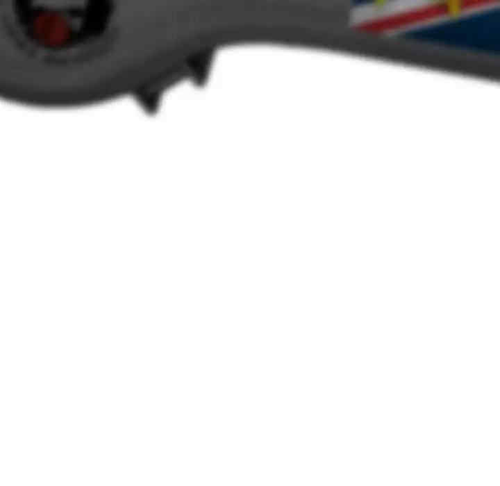 女性友人/换友派对