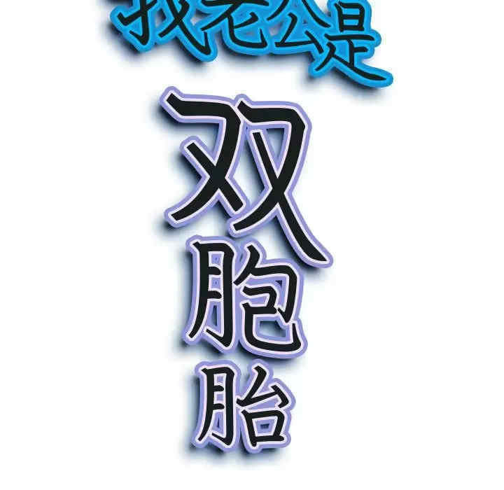 我的双胞胎老公/我老公是双胞胎