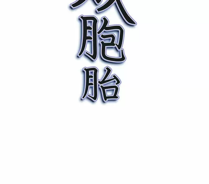 我的双胞胎老公/我老公是双胞胎