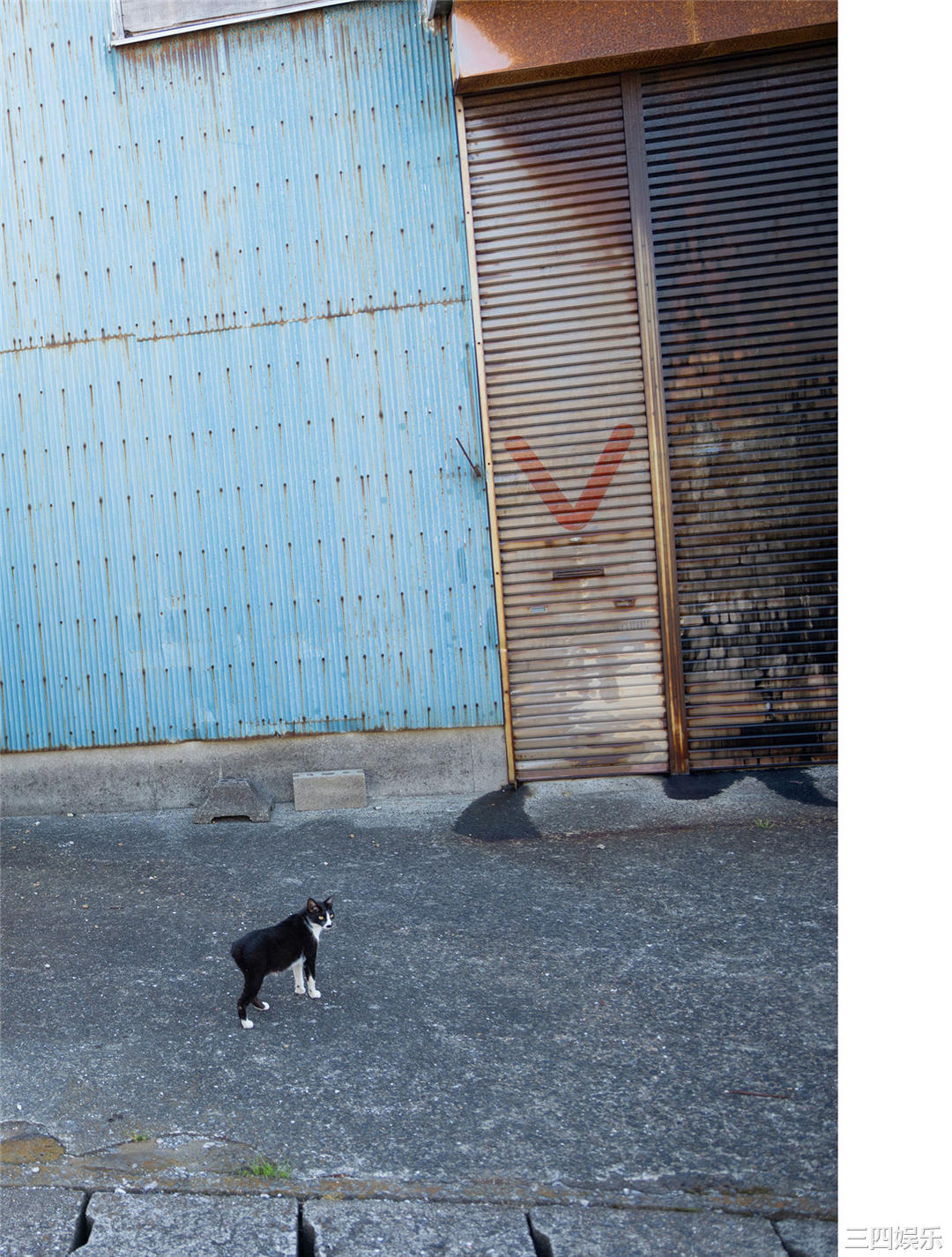 染野有来1ST写真集《ユメノソラ》高清全本