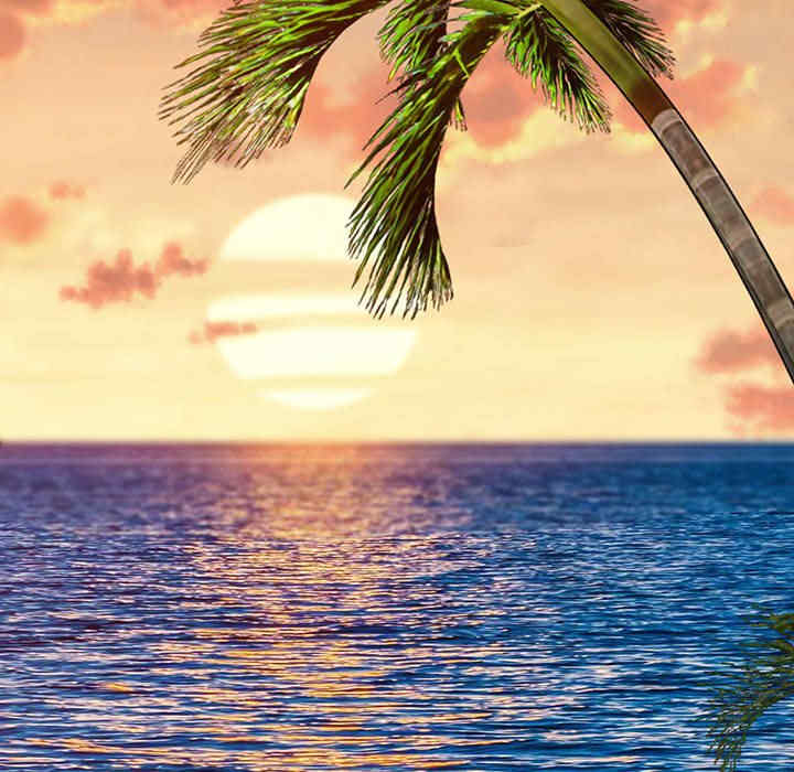 私房家教课/私人家教