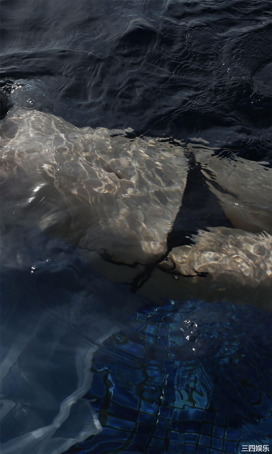 辻优衣写真集《大分県在住、のびしろガール。》高清全本