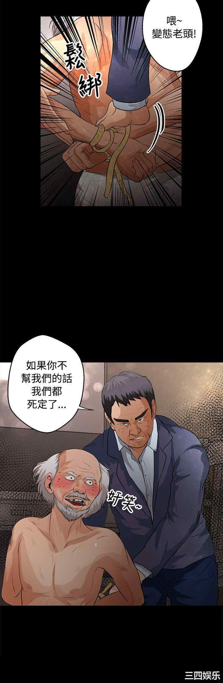 丛林爱爱法则