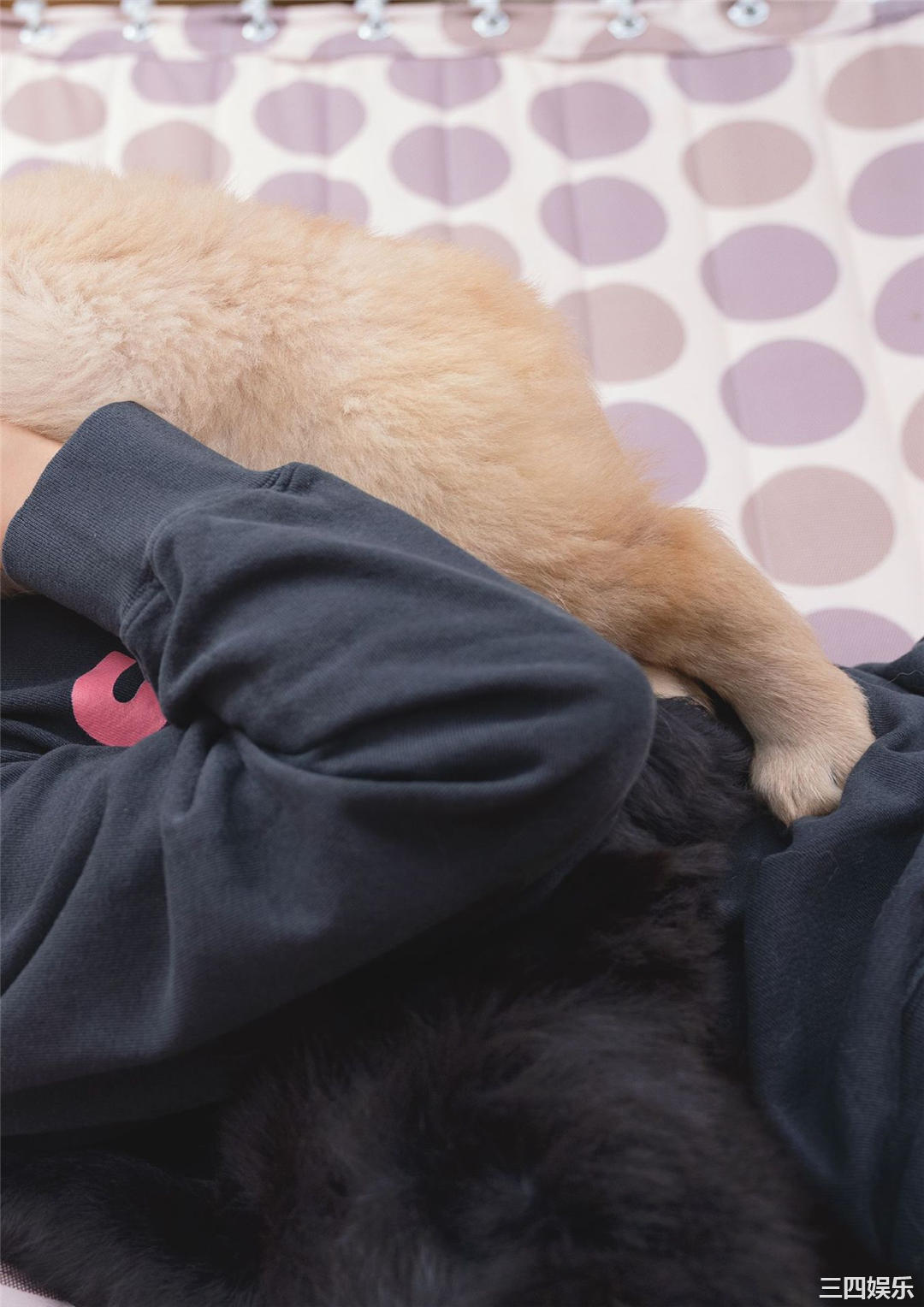 深田恭子写真集《Brand new me》高清全本