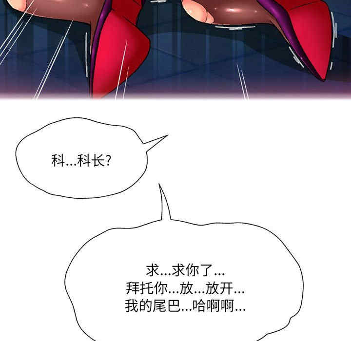 上司的地雷别乱踩/上司的尾巴摸不得